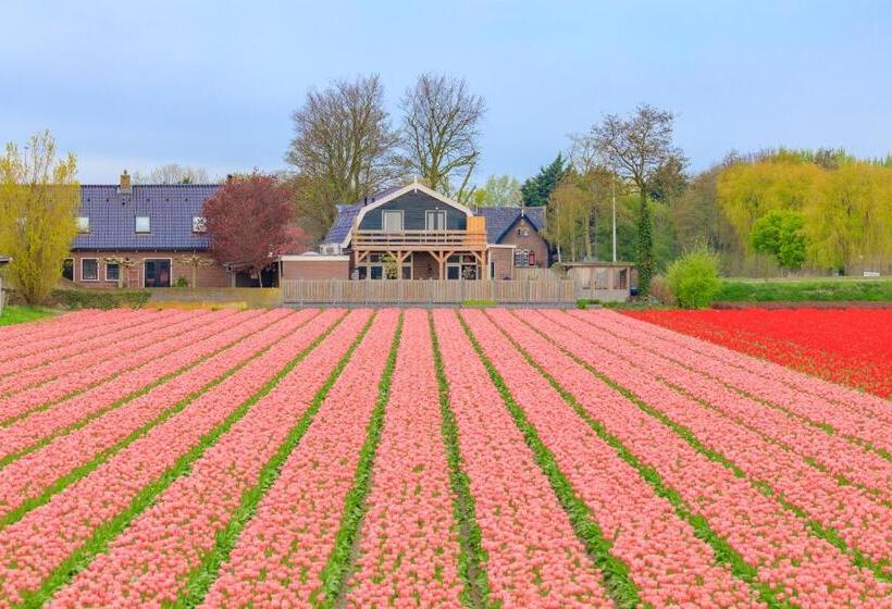 B&b Blossom