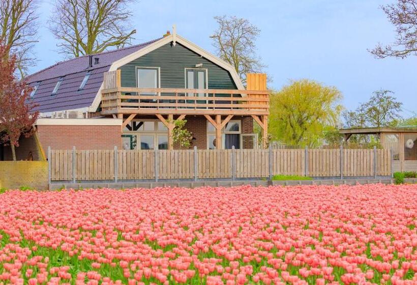 B&b Blossom