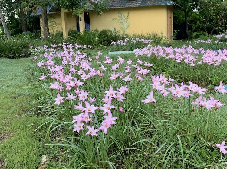 Bed and Breakfast Campito Loving