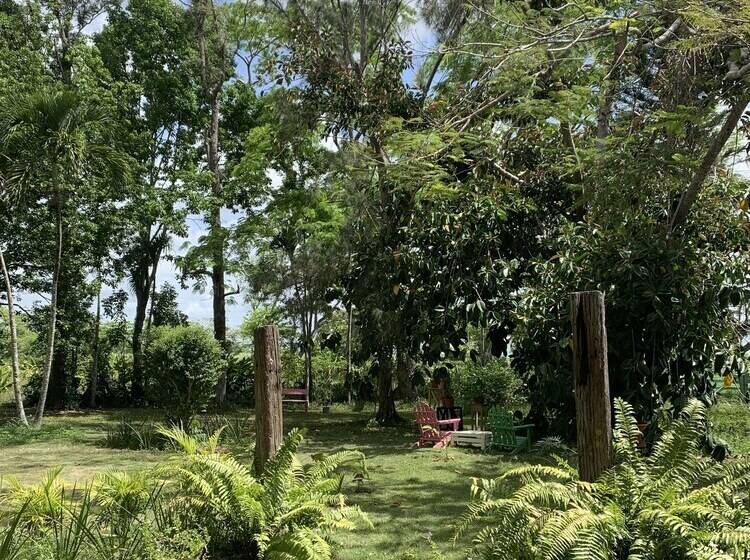 تختخواب و صبحانه Campito Loving