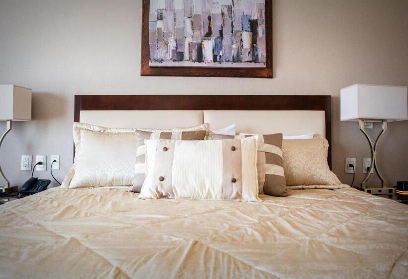 هتل Wyndham Torreon