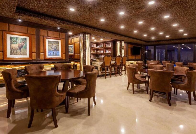 هتل Wyndham Torreon