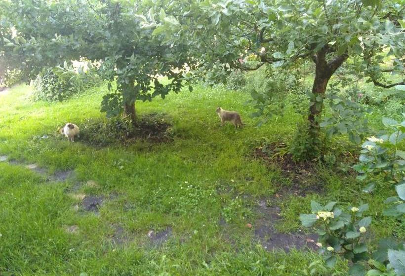 Bed and Breakfast Elevage Du Plec