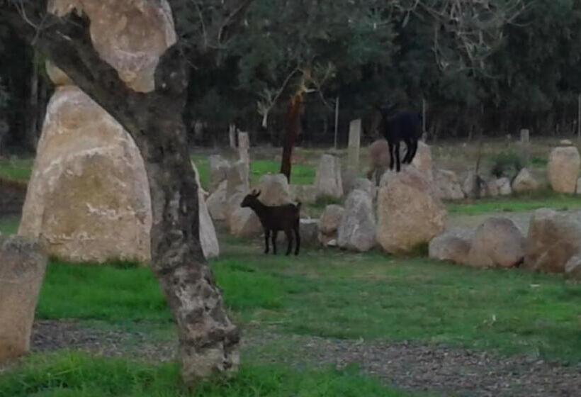 호텔 I Menhirs