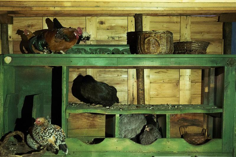 Bed and Breakfast Ninho Saloio