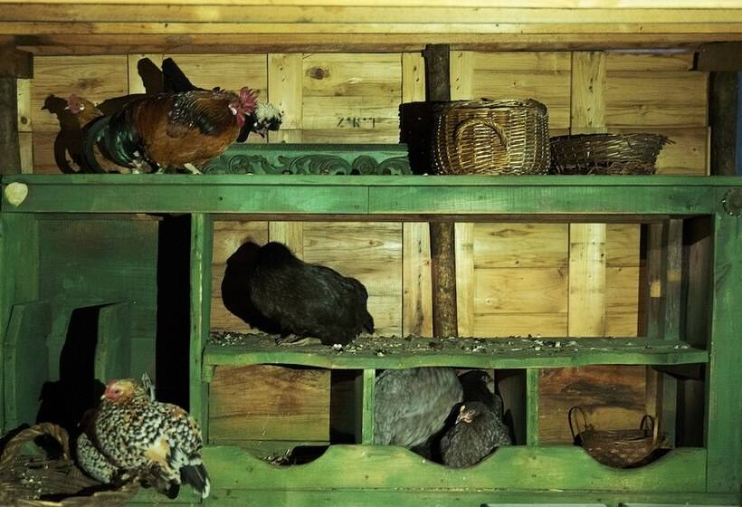 مبيت وإفطار Ninho Saloio