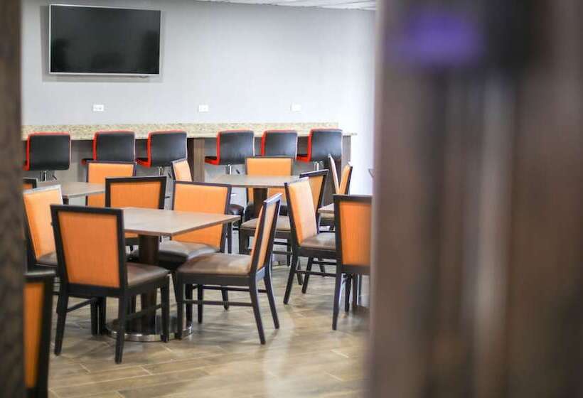 酒店 American Inn And Suites Ferndale