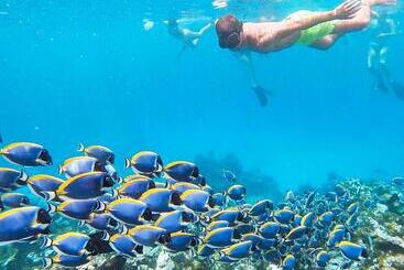 هتل Old Town Inn Maldives