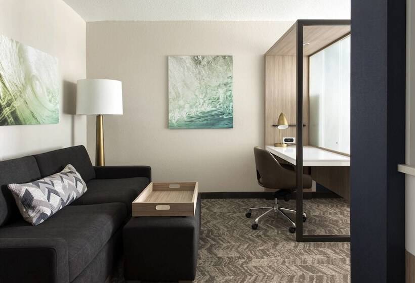 בית מלון כפרי Springhill Suites By Marriott Tampa Suncoast Parkway