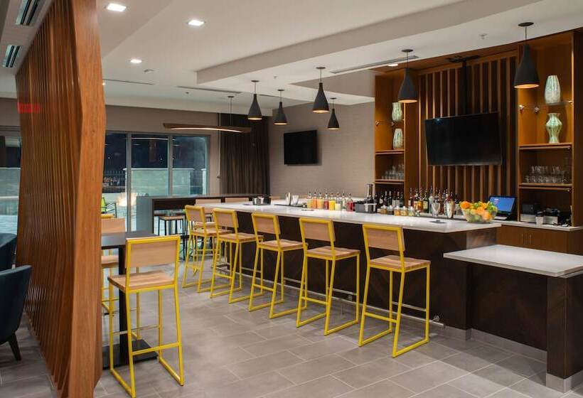 בית מלון כפרי Springhill Suites By Marriott Tampa Suncoast Parkway