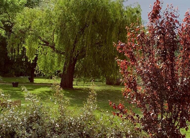 پانسیون Le Domaine