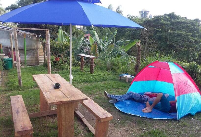 هاستل Vivienda Turistica Yerbabuena