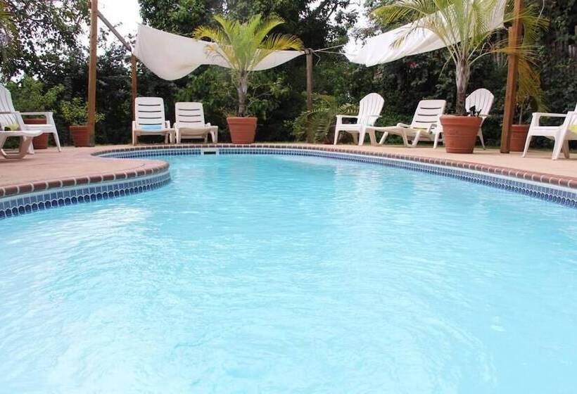 تختخواب و صبحانه Casa De Tortuga