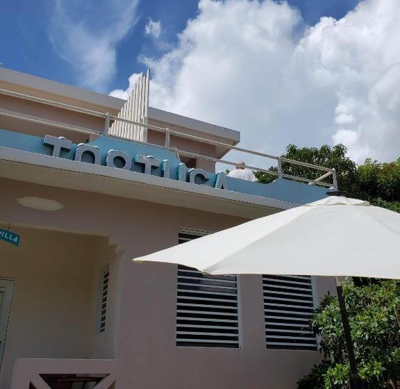 تختخواب و صبحانه Casa De Tortuga