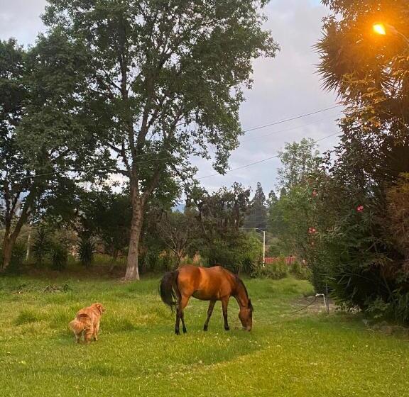 فندق Hosteria Campestre San Fermin
