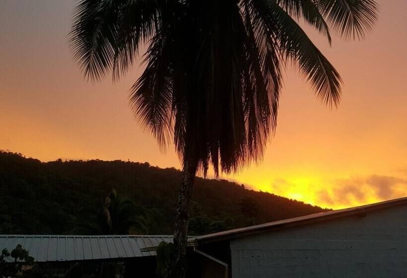 پانسیون Hostal Adrimar