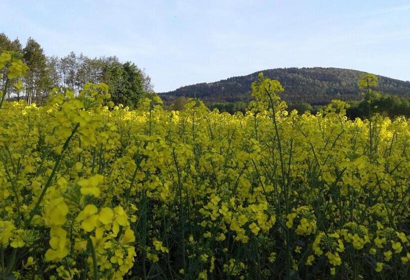 Gaststätte & Pension Jägerwäldchen