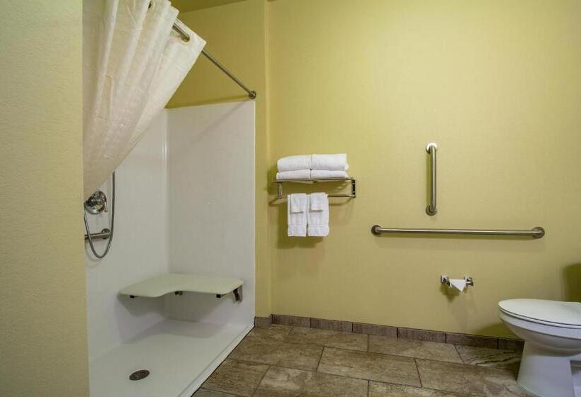 Отель Cobblestone Inn & Suites   Soda Springs