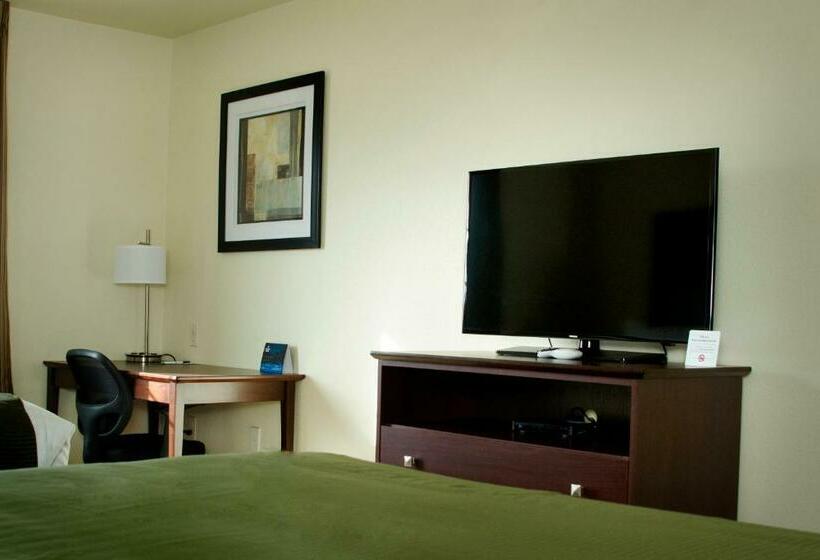 Отель Cobblestone Inn & Suites   Soda Springs