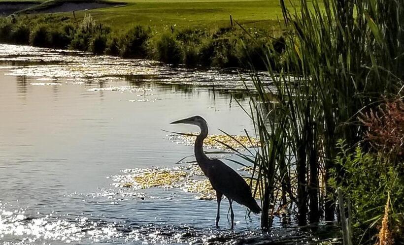 فندق Resort At Eagle Point Golf Club Lodging