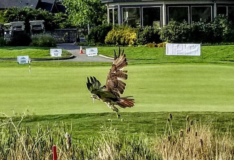 فندق Resort At Eagle Point Golf Club Lodging