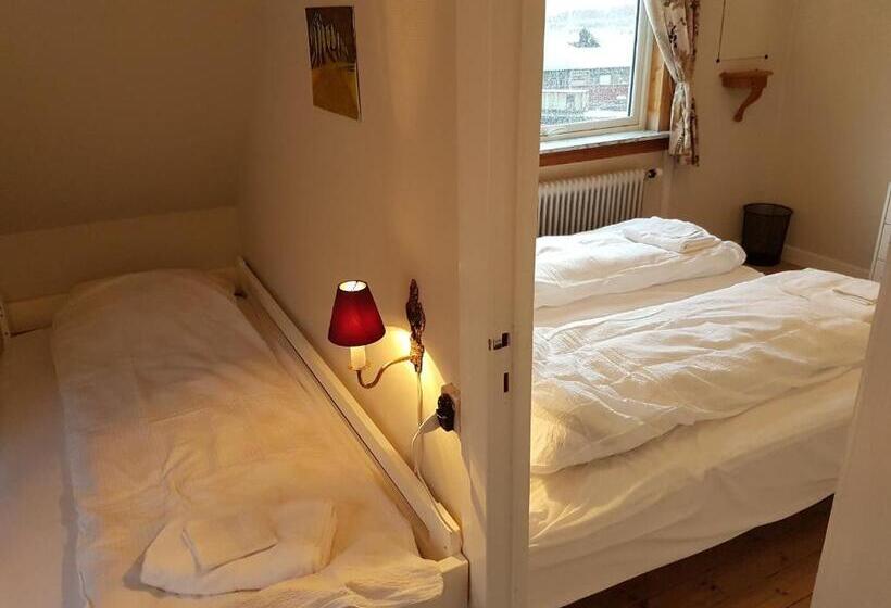 پانسیون Budget Guesthouse Borgustova
