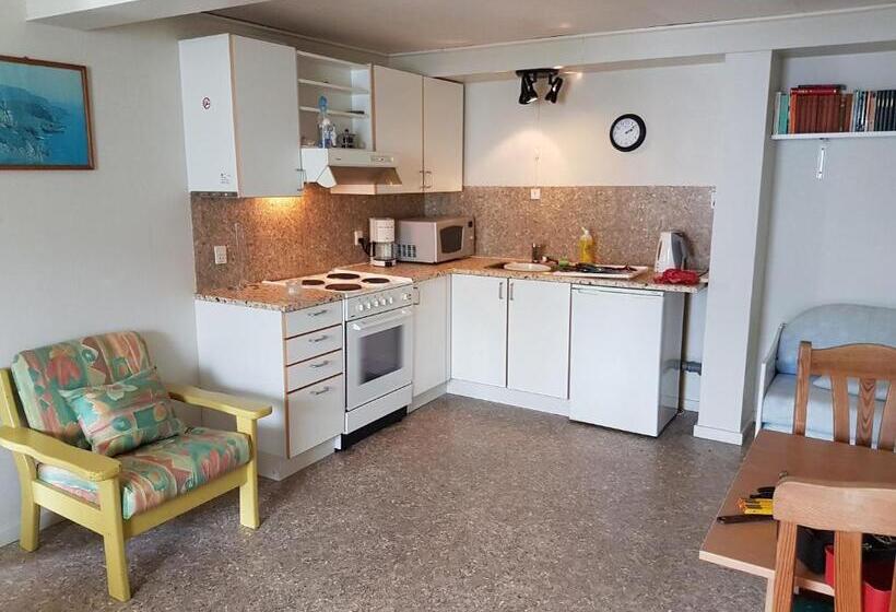 پانسیون Budget Guesthouse Borgustova