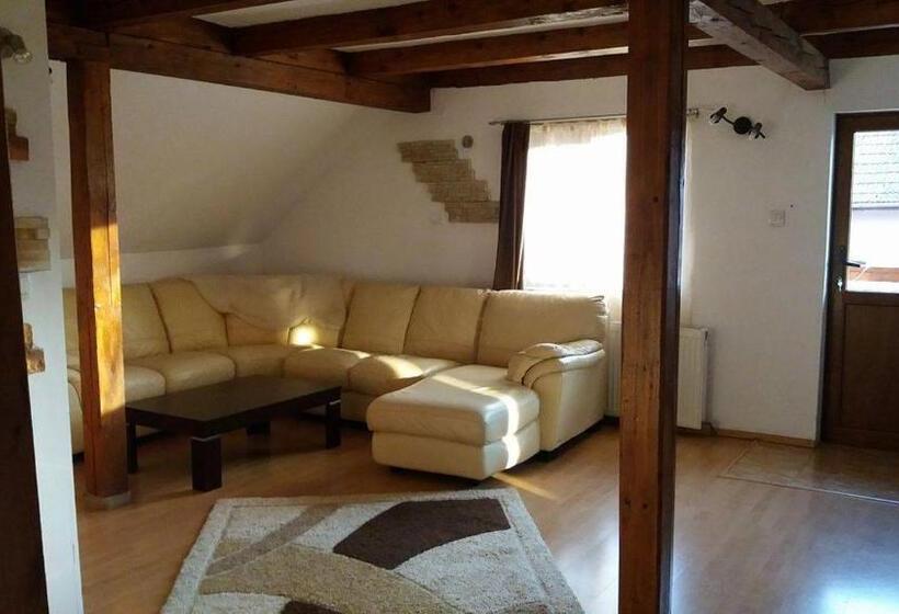 پانسیون Casa Floare De Colt
