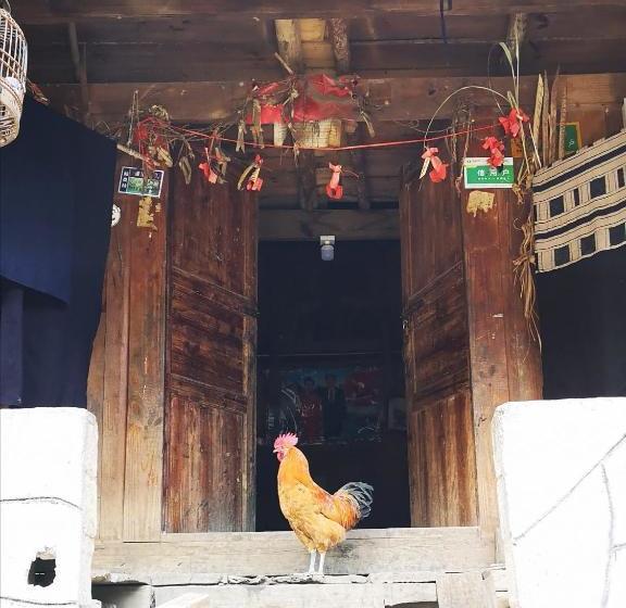 پانسیون Emerald Adventures Guesthouse