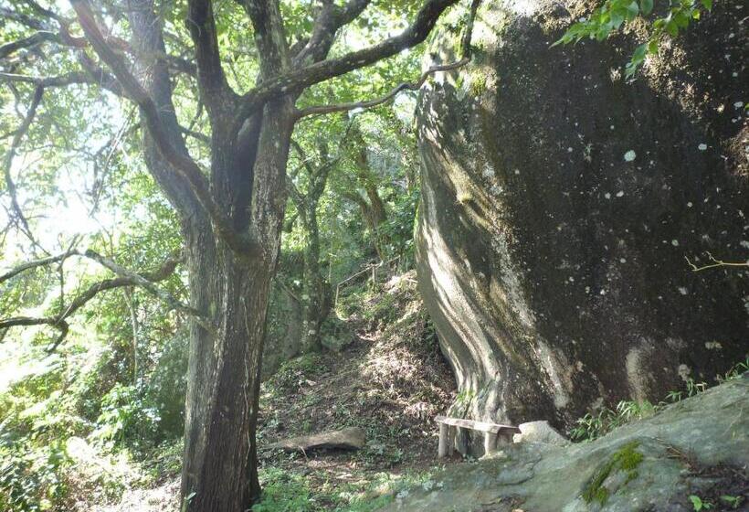 بنسيون Pousada Colina Das Andorinhas