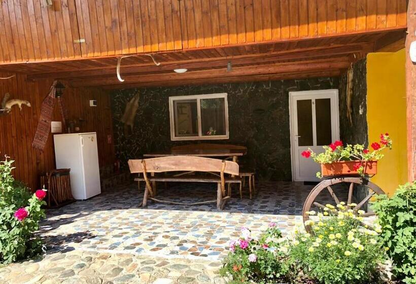 Pensiunea Bujor De Munte