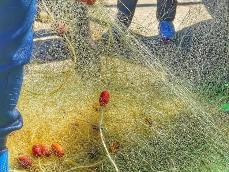 فندق صغير Juha S Guesthouse  Zarqa Bay