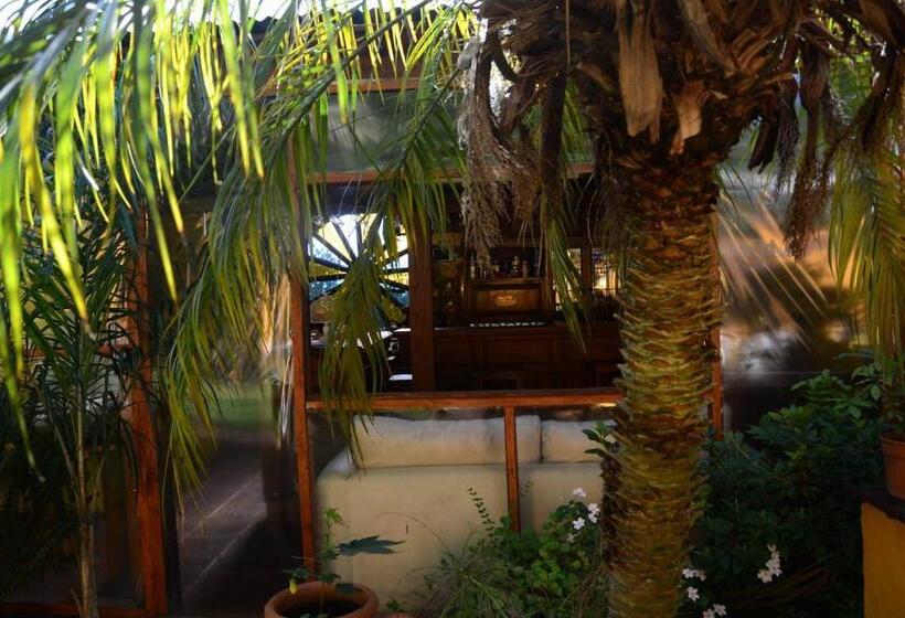 تختخواب و صبحانه El Bambu