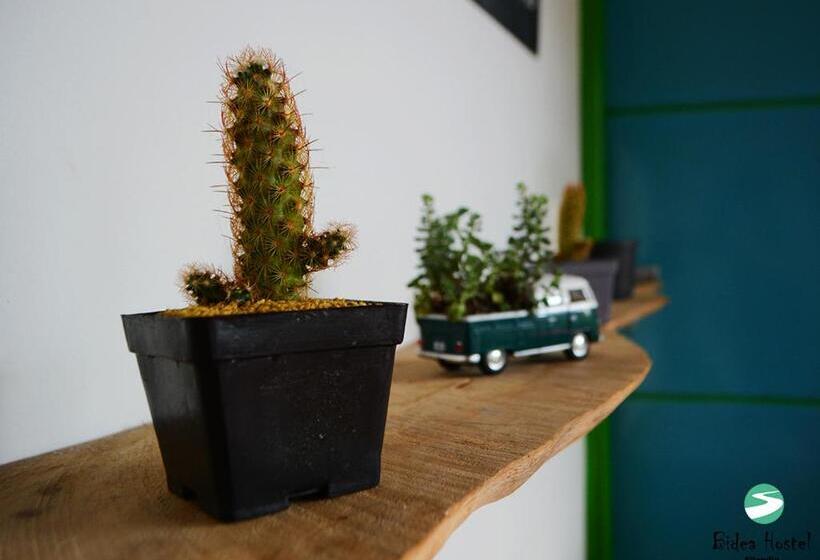 Bidea Backpackers Hostel