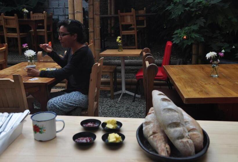 Bidea Backpackers Hostel