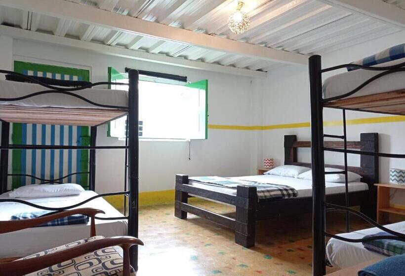 Bidea Backpackers Hostel