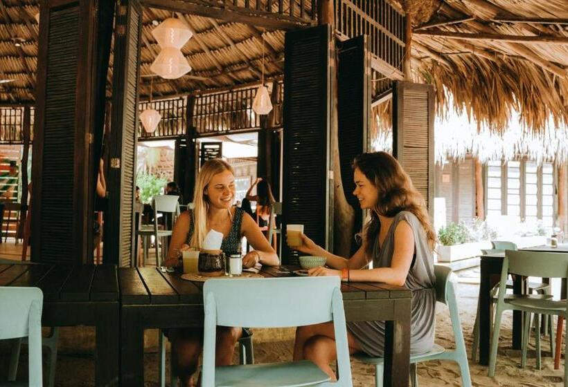 هتل Viajero Tayrona Hostel & Ecohabs
