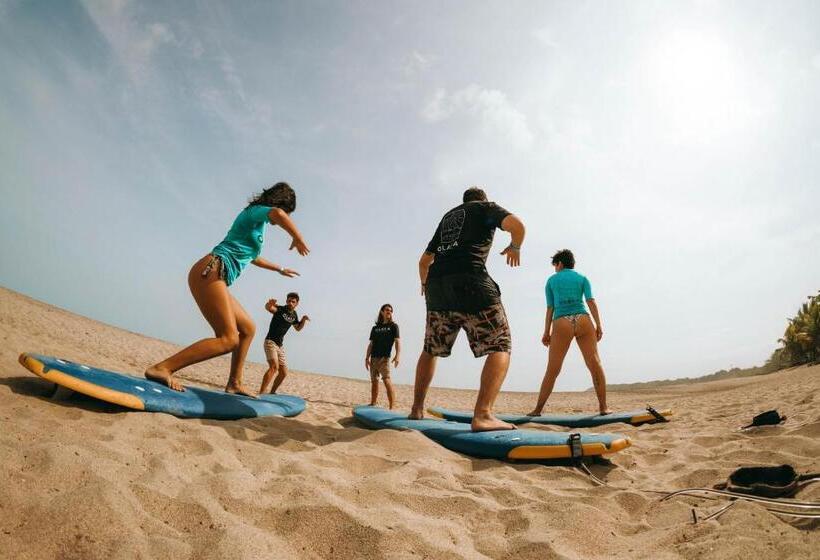 هتل Viajero Tayrona Hostel & Ecohabs