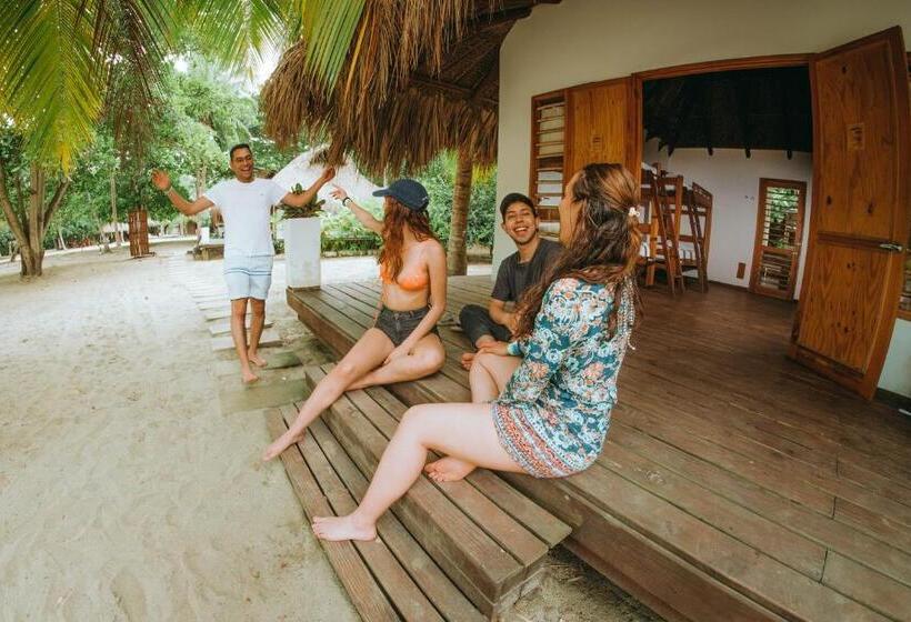 هتل Viajero Tayrona Hostel & Ecohabs