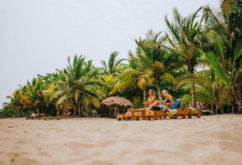 هتل Viajero Tayrona Hostel & Ecohabs