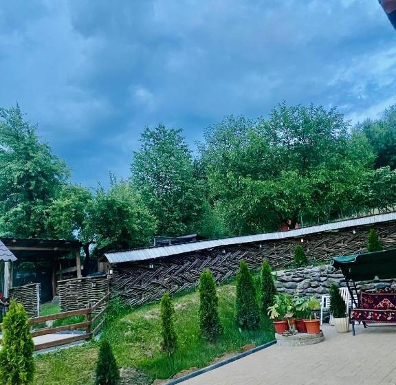 פנסיון Floare De Maramures 1
