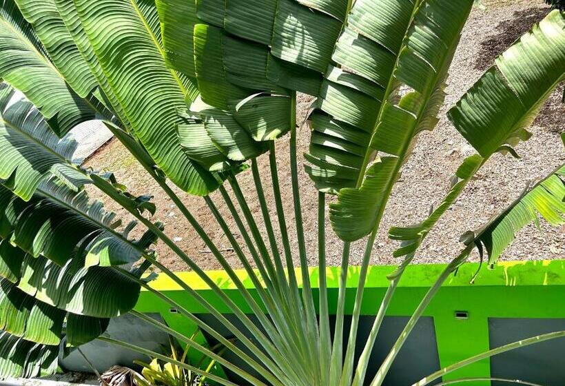 پانسیون Vieques Good Vibe Guest House