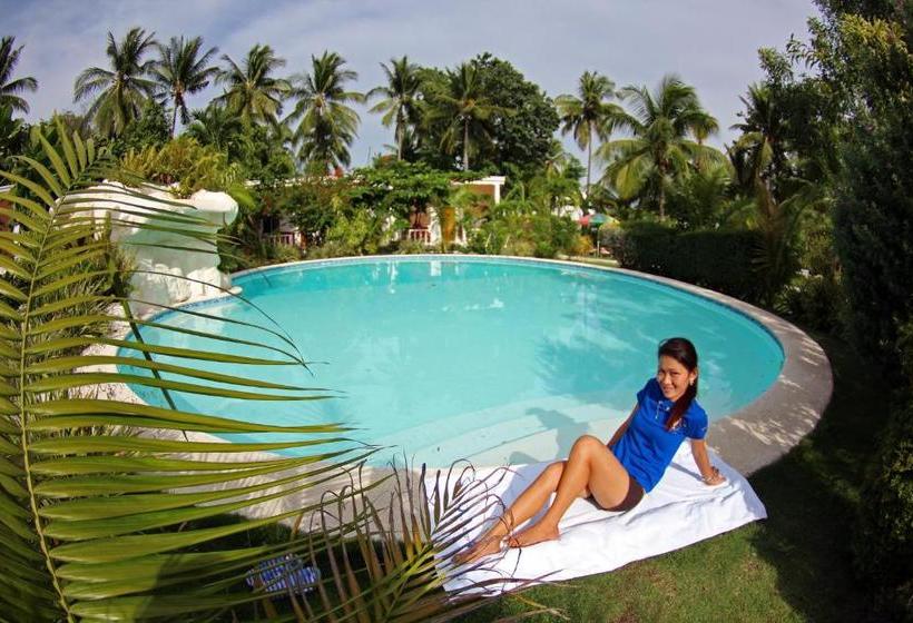 منتجع Divepoint Alcoy