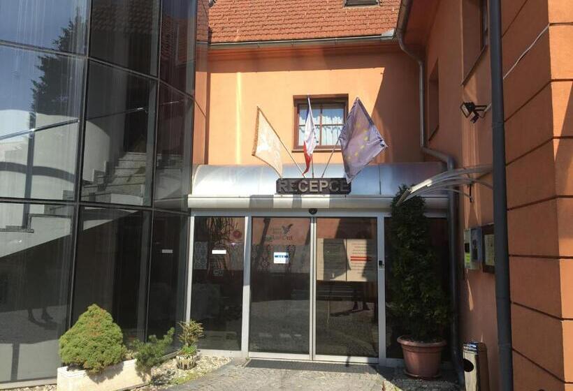 Zámecký Hotel Zlatý Orel