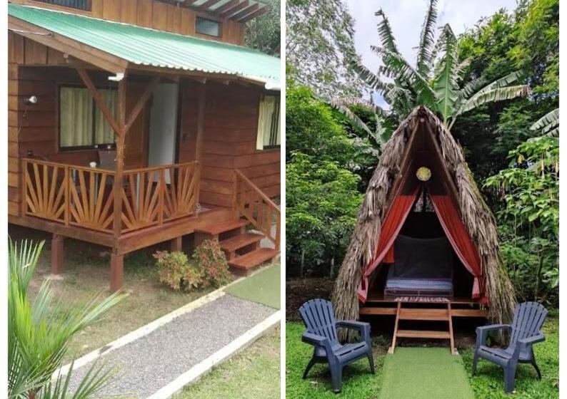 ベッドアンドブレックファースト Centro Ananda