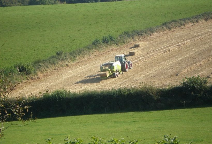 민박 Pillowery Park