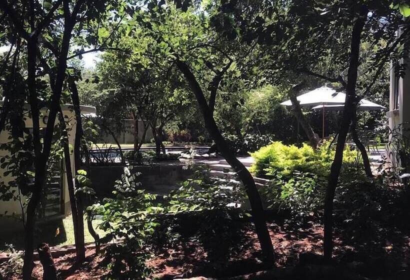 پانسیون 528 Victoria Falls Guest House