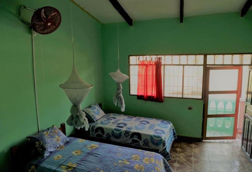 پانسیون Perezoso Hostel