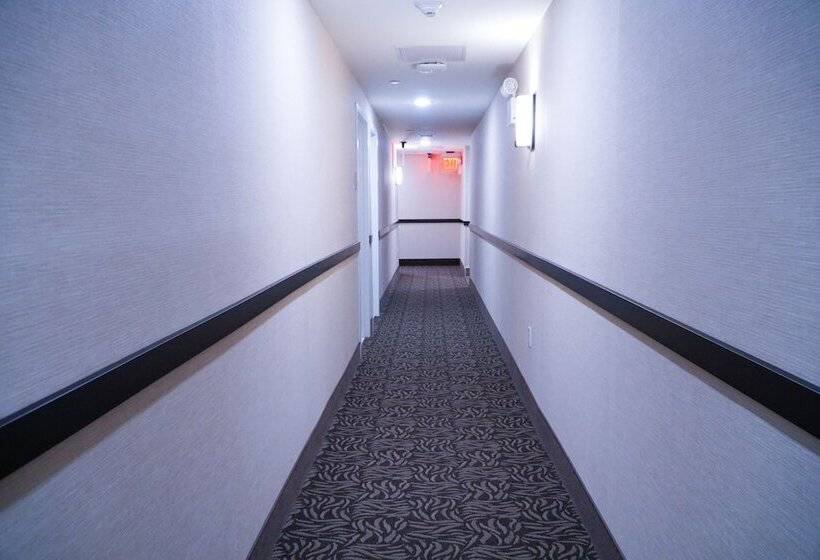 Fotos del hotel Mint Jfk Airport:  5