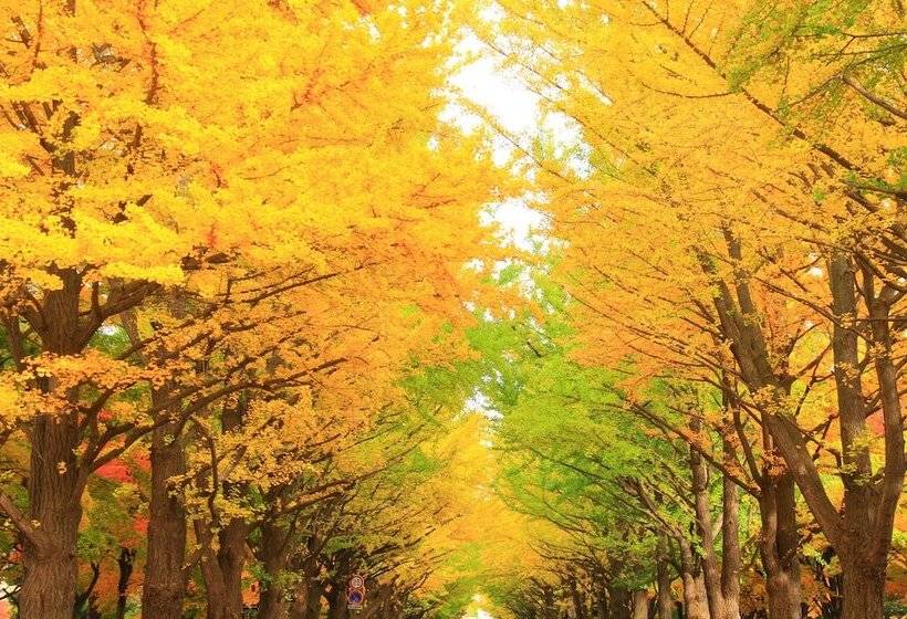 Residence Hotel Stripe Sapporo